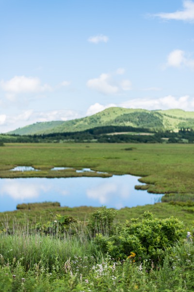 e0146031_934481.jpg