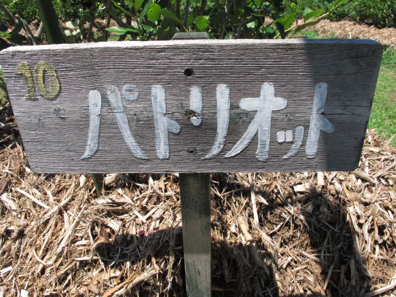 改定版:FWDエクシーガを再考する_f0076731_19175591.jpg