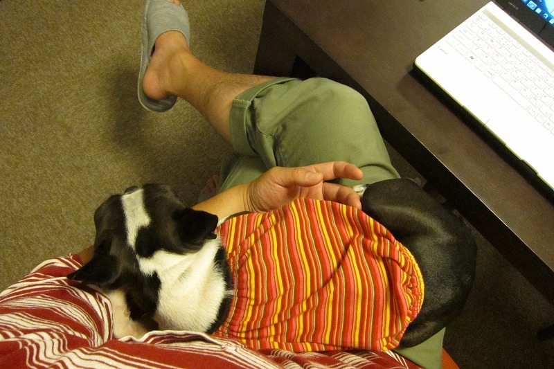 c0209932_20125258.jpg