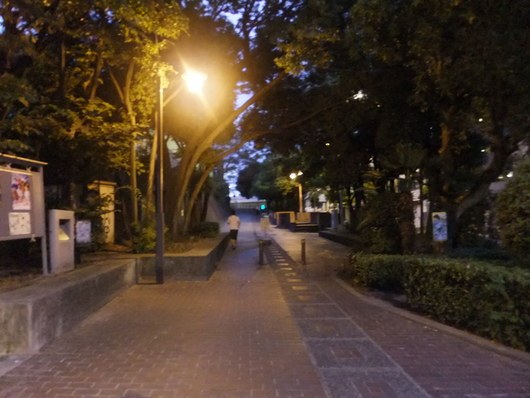 d0178432_9293316.jpg