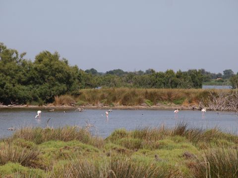 a0157935_5103178.jpg