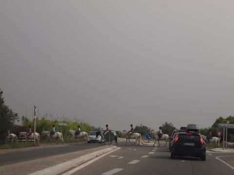 a0157935_515523.jpg