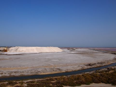 a0157935_5195767.jpg