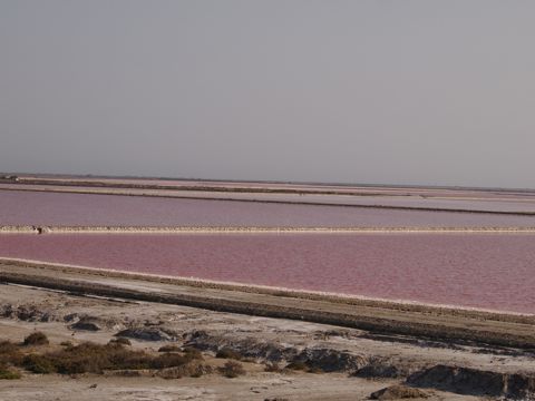 a0157935_5203941.jpg
