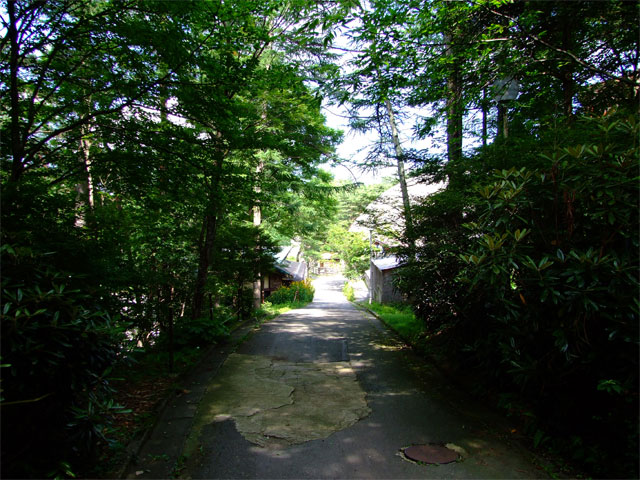 未知の世界_a0179837_1194476.jpg