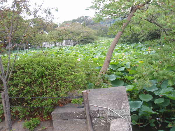 b0132442_1825578.jpg