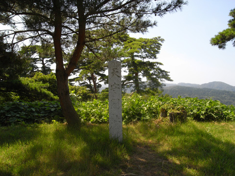 b0145843_0572234.jpg
