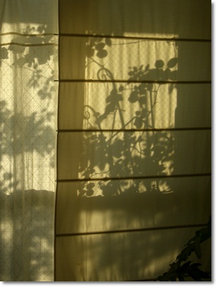 f0072846_18514.jpg