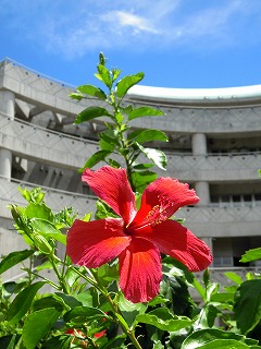 c0171349_9185771.jpg