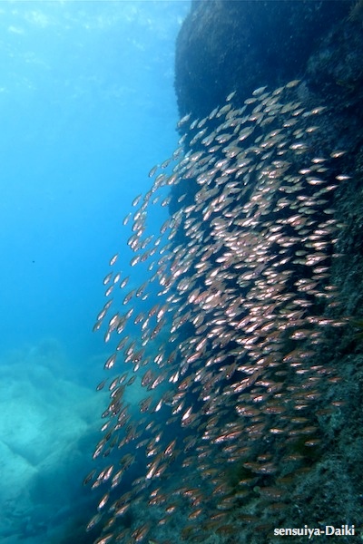 e0158261_14344325.jpg