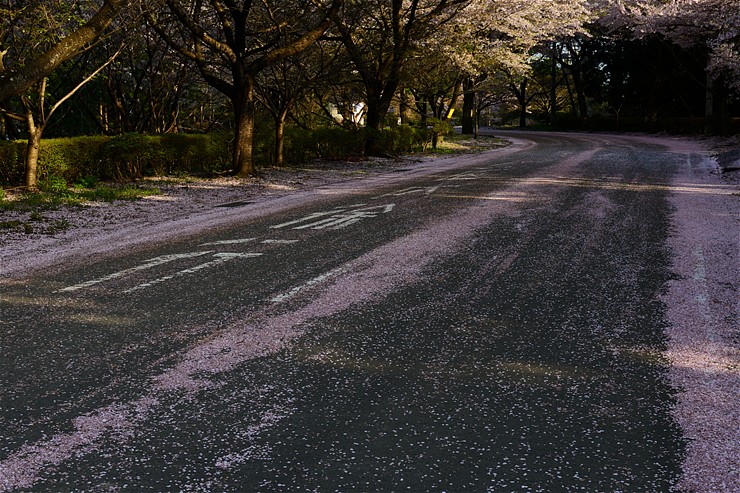 f0222161_11114373.jpg
