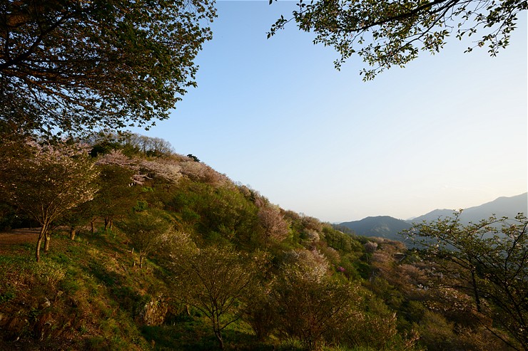 f0222161_11121581.jpg