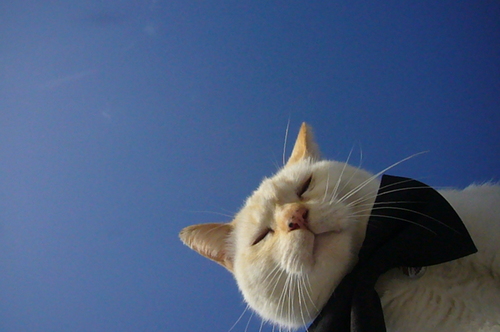 what?!_c0153966_18561498.jpg