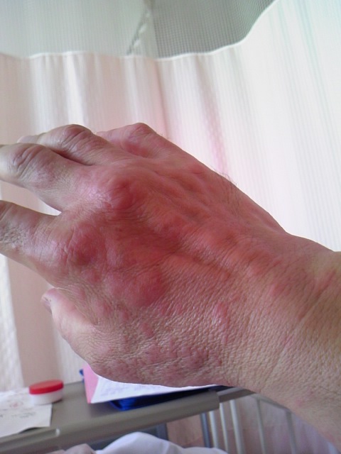 b0198768_2045781.jpg