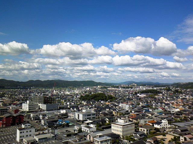 b0198768_2217448.jpg