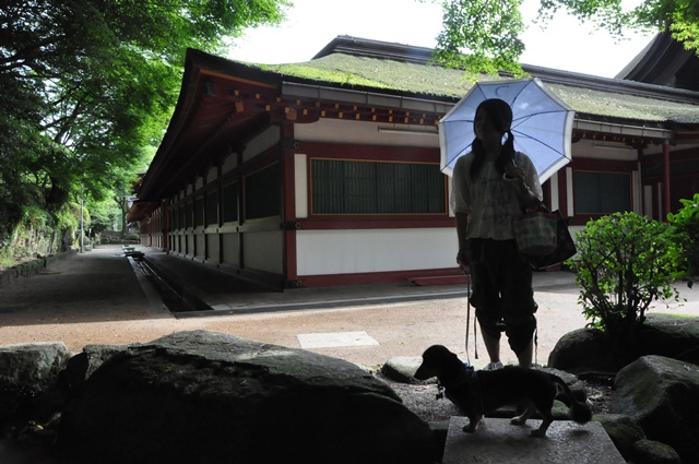 ポトレ。_a0157480_22115514.jpg