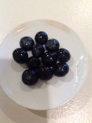 ブルーベリー_a0059281_15501774.jpg