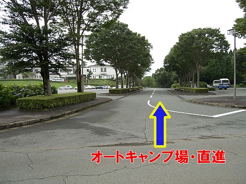 b0170184_22472560.jpg