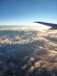 f0169885_3142868.jpg