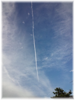 b0232891_9484086.png