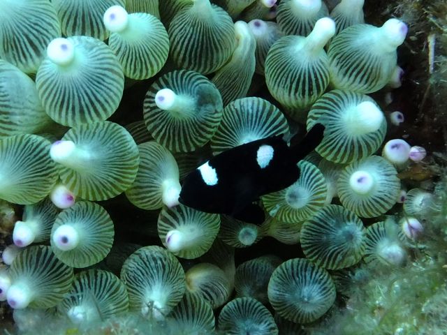 雲見でカメラの練習！【2012年8月8日】_f0053895_1741198.jpg