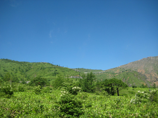 b0097200_16155497.jpg