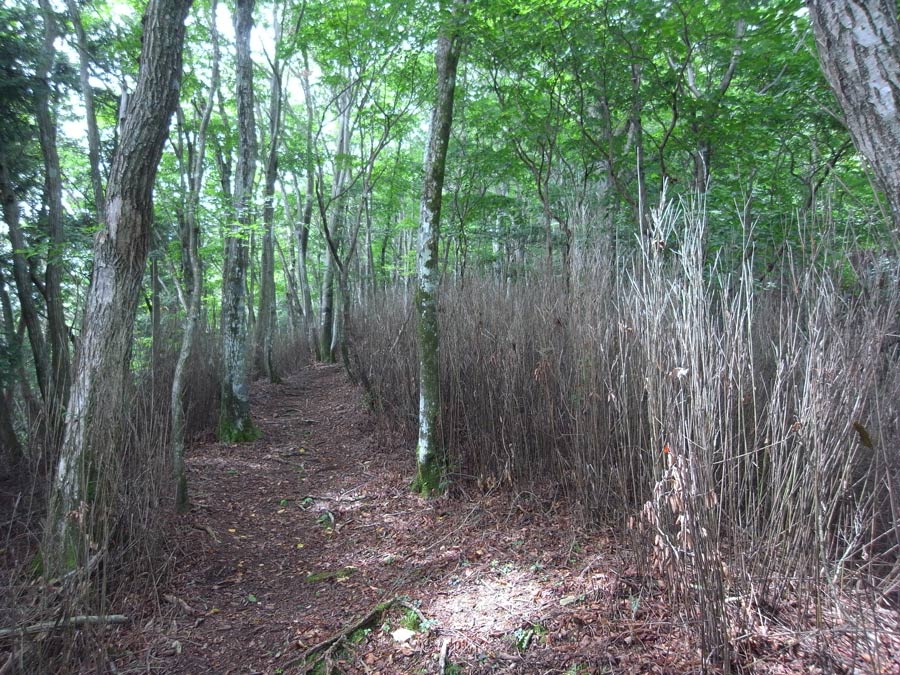 e0253104_222103.jpg