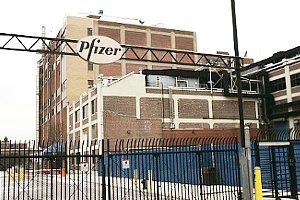 b0007805_347882.jpg