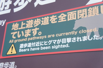 c0148705_8152046.jpg