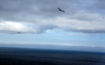 c0148705_8381436.jpg