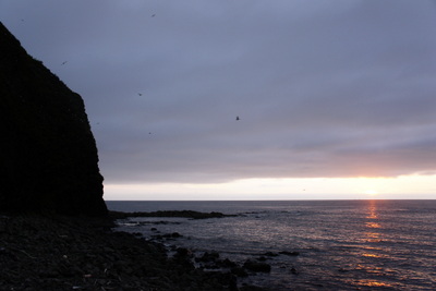 c0148705_8415373.jpg