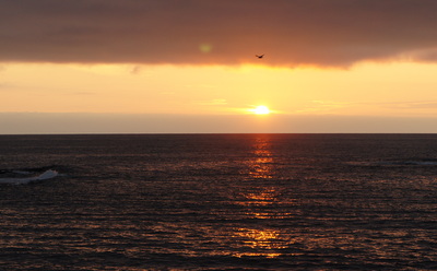 c0148705_8421528.jpg