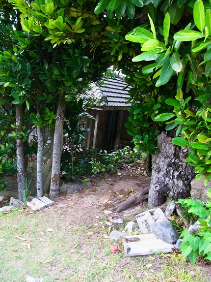 c0205806_17504443.jpg