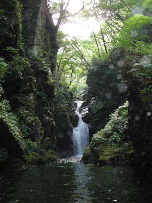 a0257308_14401061.jpg