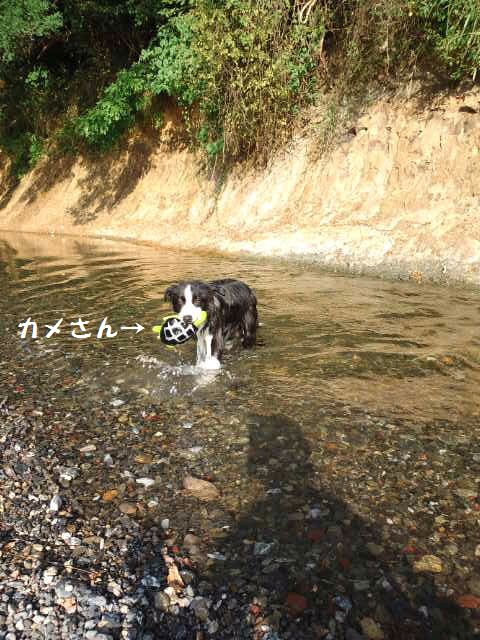 d0224111_11103268.jpg