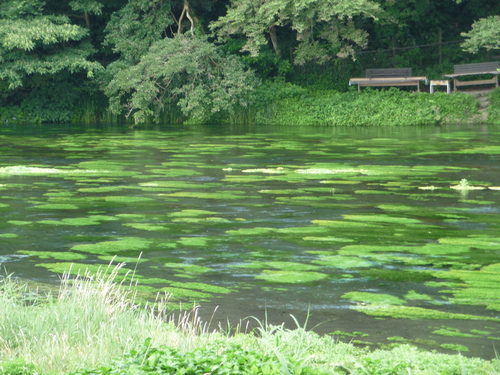 b0087914_8224772.jpg