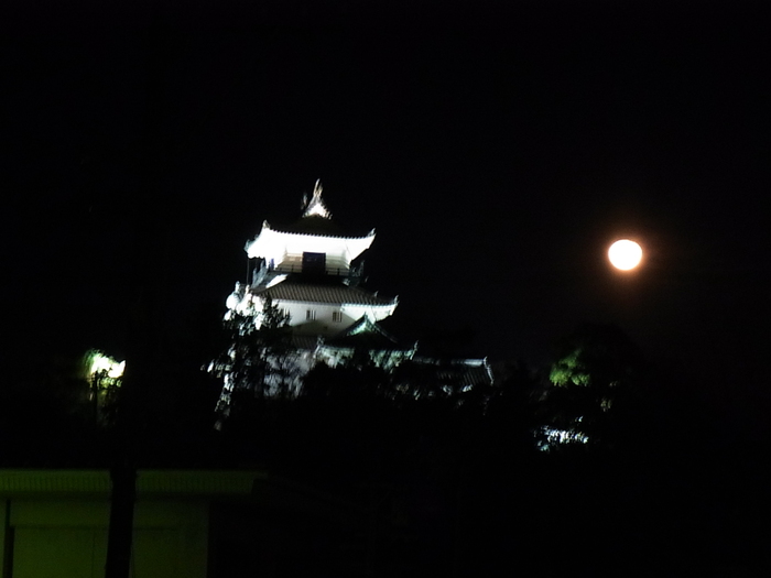 BON_d0179518_173821.jpg