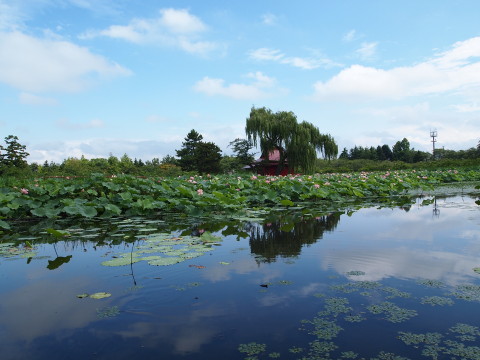 b0147224_20584637.jpg