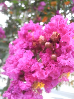 a0188926_023570.jpg