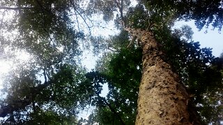 a0126128_2043226.jpg