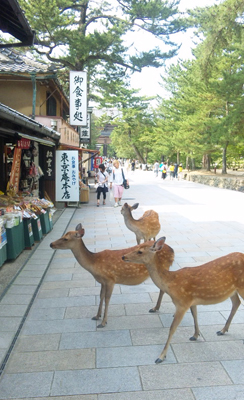 ゆるり奈良旅_b0181732_10431867.jpg