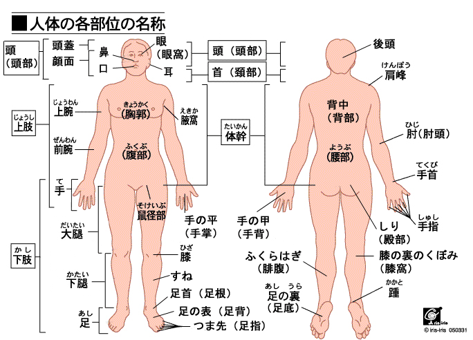 有名な体部位漢字 壁紙配布 有名な体部位漢字 壁紙配布