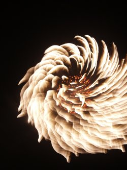 芳賀町ロマン花火2012_e0227942_20451466.jpg