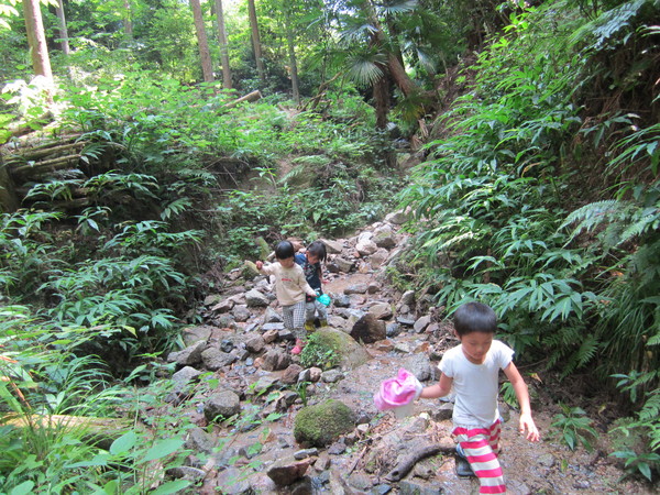 b0132746_0315573.jpg