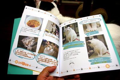 猫星人 Attack!来た〜!_a0028451_12365536.jpg