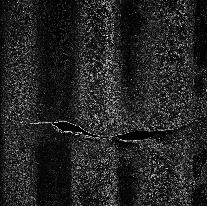 a0268357_21222833.jpg