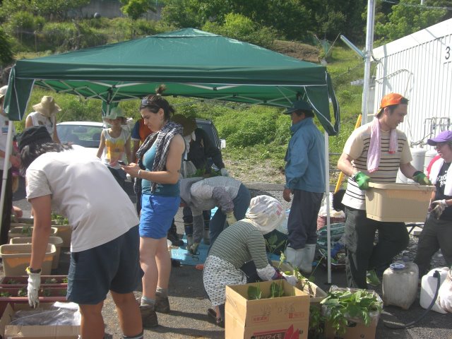 2012年7月16日 宮城県石巻市 牡鹿・折浜仮設住宅_d0259876_2138591.jpg