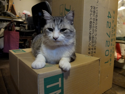 働いたフリ_a0180681_16182750.jpg