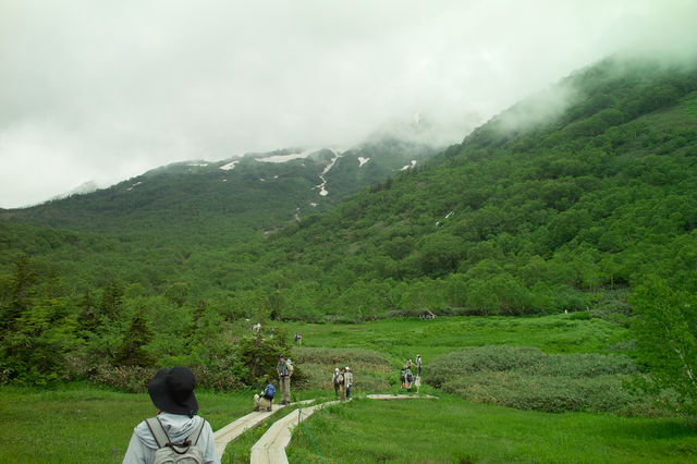 初夏の栂池自然園_a0182281_17162160.jpg