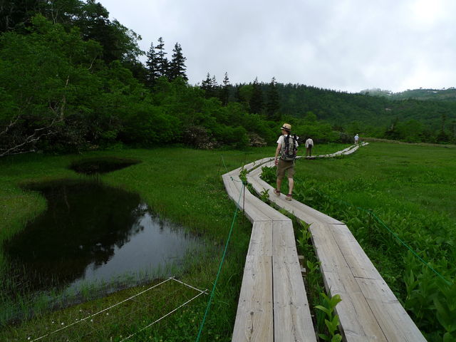 初夏の栂池自然園_a0182281_1774563.jpg